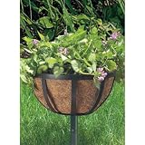 Buy CobraCo SPF-B 10-Inch Black English Flatwire Stake Planter by CobraCo