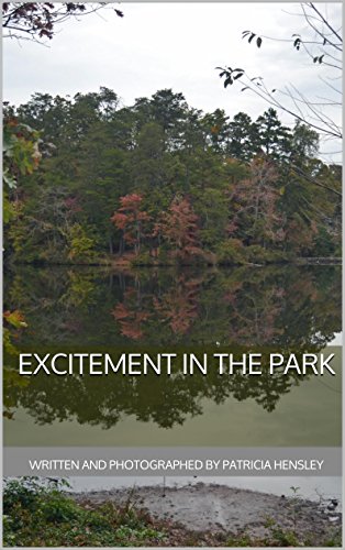 Excitement in the Park, by Patricia Hensley