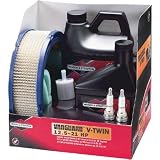 Briggs & Stratton Tune-Up Kit 12.5-21 HP Vanguard V-Twin Engines #5119A