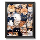 Cat Kittens Kitty Collage Kids Room Wall Picture Black Framed Art Print