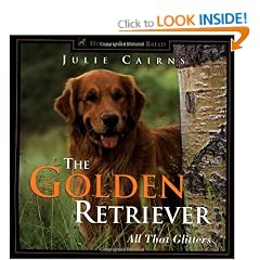 The Golden Retriever: All That Glitters