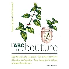 L'ABC de la bouture