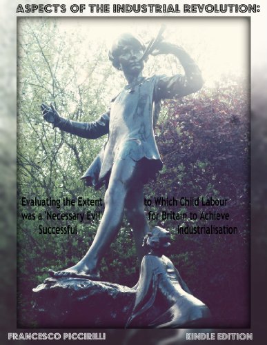 Aspects of the Industrial Revolution - Evaluating the extent to which child labour was a 'necessary evil' for Britain to achieve successful industrialisation (History Essays Book 1)