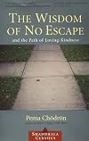 The Wisdom of No Escape