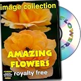 Amazing Flowers, Royalty Free Image Collection, Academic License