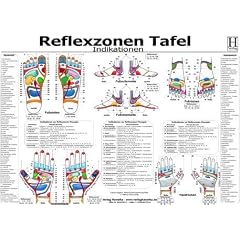 Reflexzonen Tafel. Indikationen. DIN A3