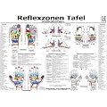 Reflexzonen Tafel. Indikationen. DIN A3