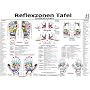 Reflexzonen Tafel. Indikationen. DIN A3