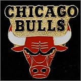 Chicago Bulls Team Logo Pin