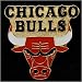 Chicago Bulls Team Logo Pin
