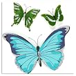Martha Stewart Crafts Blue & Green Butterfly Stickers By The Package