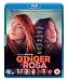 Ginger & Rosa [Blu-ray]