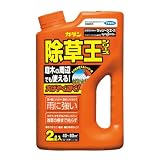 フマキラー カダンザッソージエース 2L