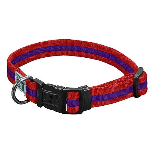 Animal Planet Quick Snap Cushy Pet Collar 1-in Large (18-in to 26-in) Red / Purple