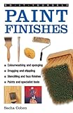 Paint finishes