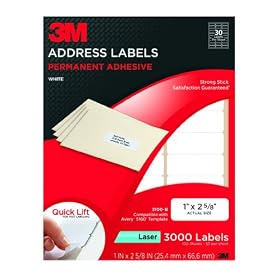 3M Permanent Adhesive Address Labels, 1 x 2.62 Inches, White, 3000 per Pack (3100-B) by 