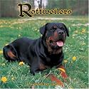 Rottweilers 2007 Wall Calendar