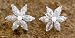 Earrings, 'Snow Blossom'