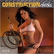 Construction Chick 2009 PINUP Calendar (Pin up)