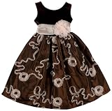 Sweet Heart Rose Girls 7-16 Soutache And Velvet Dress,Brown/ Pink,7