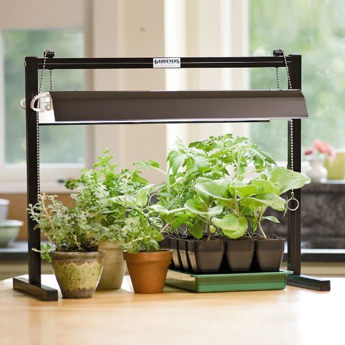 Compact Tabletop SunLite � Garden On Sale