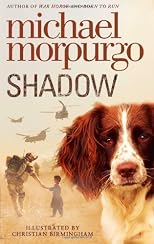 Shadow