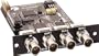 Apogee X-VID-SYC-GEN Video Expansion Card for Big Ben (Standard)