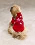 Dog Twinkling Star LED Lighted Holiday Sweater Medium - Holiday Dog Sweater