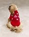 MEDIUM - Twinkling Star LED Lighted Holiday Sweater