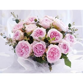 Miranda & Rosalind Purely Rose Bouquet (10 roses)
