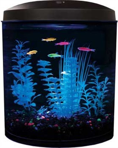 Aquarius Aq35000gpc Glofish 180 3-1/2-Gallon Aquarium Kit Aquarius Aq35000gpc Glofish 180 3-1/2-Gallon Aquarium Kit