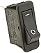 Raypak Rocker Switch 009493F