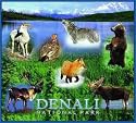 Denali National Park Coverlet