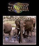 Discoveries...Africa Tanzania: Tarangire [Blu-ray]