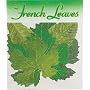 Sisson Imports French Leaves Assorted Pack of 20