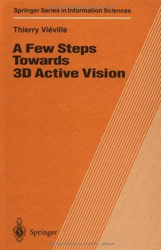 A Few Steps Towards 3D Active Vision (Springer Series in Information Sciences)