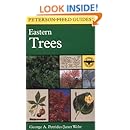 A Field Guide to Eastern Trees: Eastern United States and Canada, Including the Midwest (Peterson Field Guides)