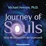 Journey of Souls: Case Studies of Life Between Lives