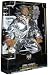 World Wrestling Entertainment WWE Collector Series 1 Super Stars Classic Ring Giants ...