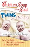 Chicken Soup for the Soul: Twins and...