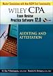 Wiley CPA Examination Review Practice Software-Audit 12.0