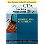 Wiley CPA Examination Review Practice Software-Audit 12.0