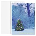 Night-Lit Christmas Tree Hol Cards
