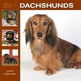 365 Days of Dachshunds 2009 Wall Calendar 12 X 12