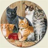 Lazy Susan ~ Barn Cats ~ decorative tempered glass ~ 16 inch diameter ~ code 158
