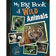 Big Book of Wild Animals