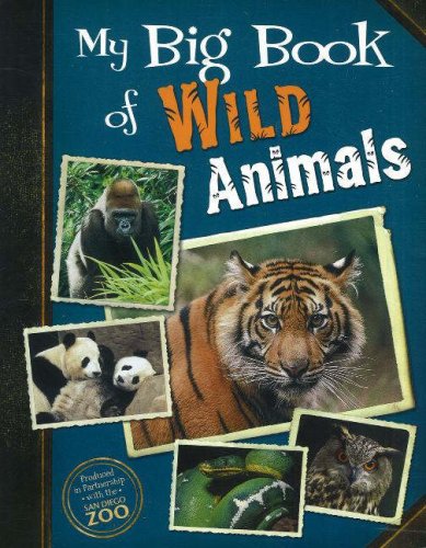 Big Book of Wild Animals