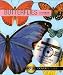Butterflies (Dover Pictura Electronic Clip Art)