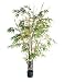GKI Bethlehem Lighting 100022016 7-Foot Black-Bamboo Silk Tree with 150 Clear Mini Lights