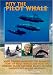 Pity the Pilot Whale